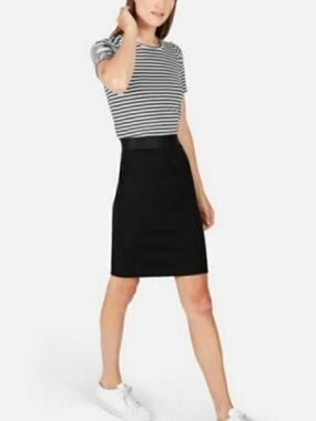 Everlane Stretch Ponte Tube Skirt